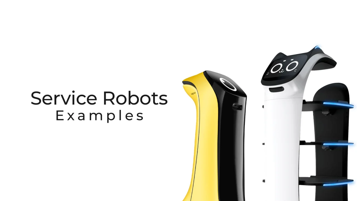 Commercial Grade Desktop Service Robots