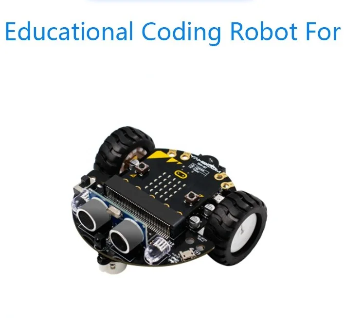 Custom Educational & Coding Robots