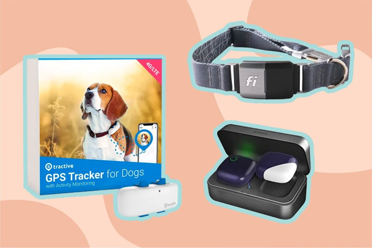 Home-Use GPS Pet Trackers