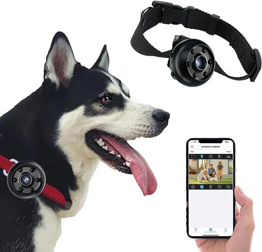 Wireless Pet Cameras & Interactive Devices