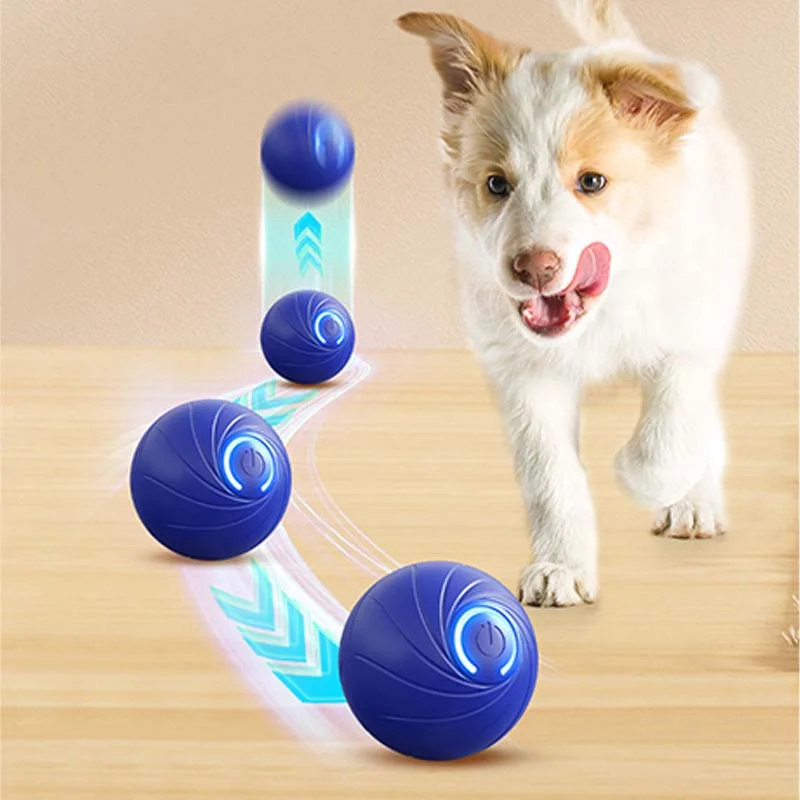 Rechargeable Pet Cameras & Interactive Devices