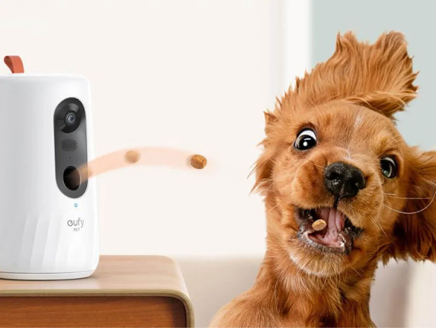 Pet Cameras & Interactive Devices