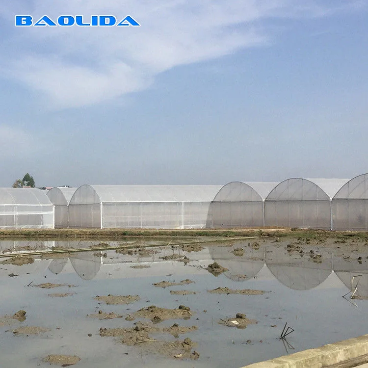 Customizable Greenhouse Film