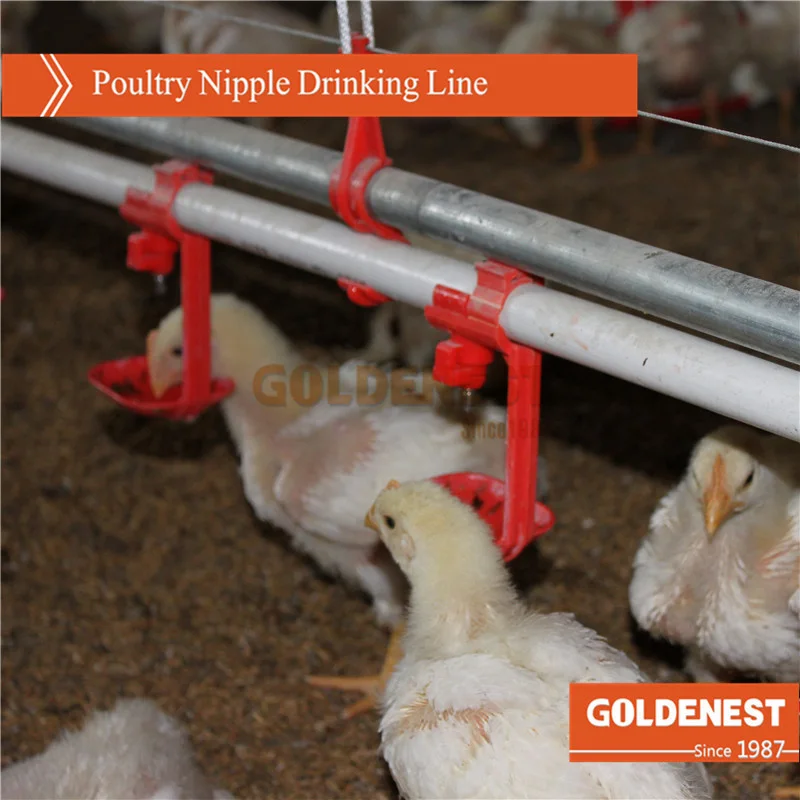 Private Label Poultry Nipple Drinking System