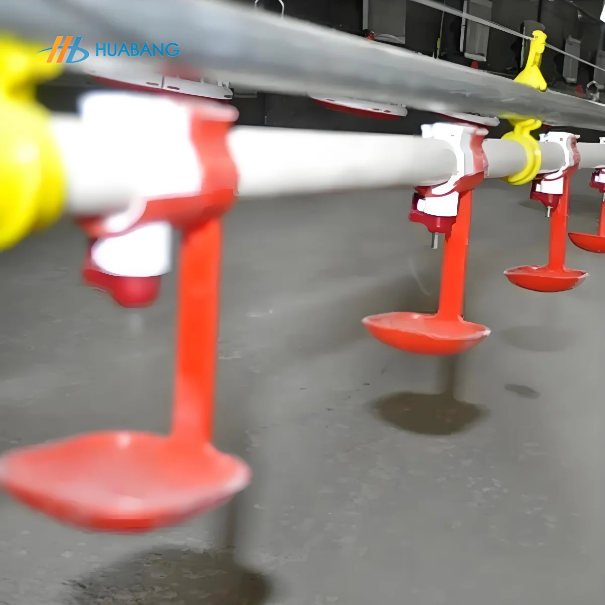 Bulk Supply Poultry Nipple Drinking System