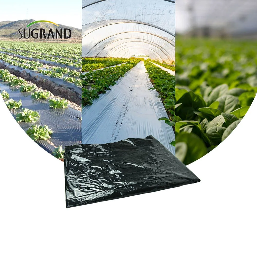 Bulk Supply Biodegradable Mulch Film