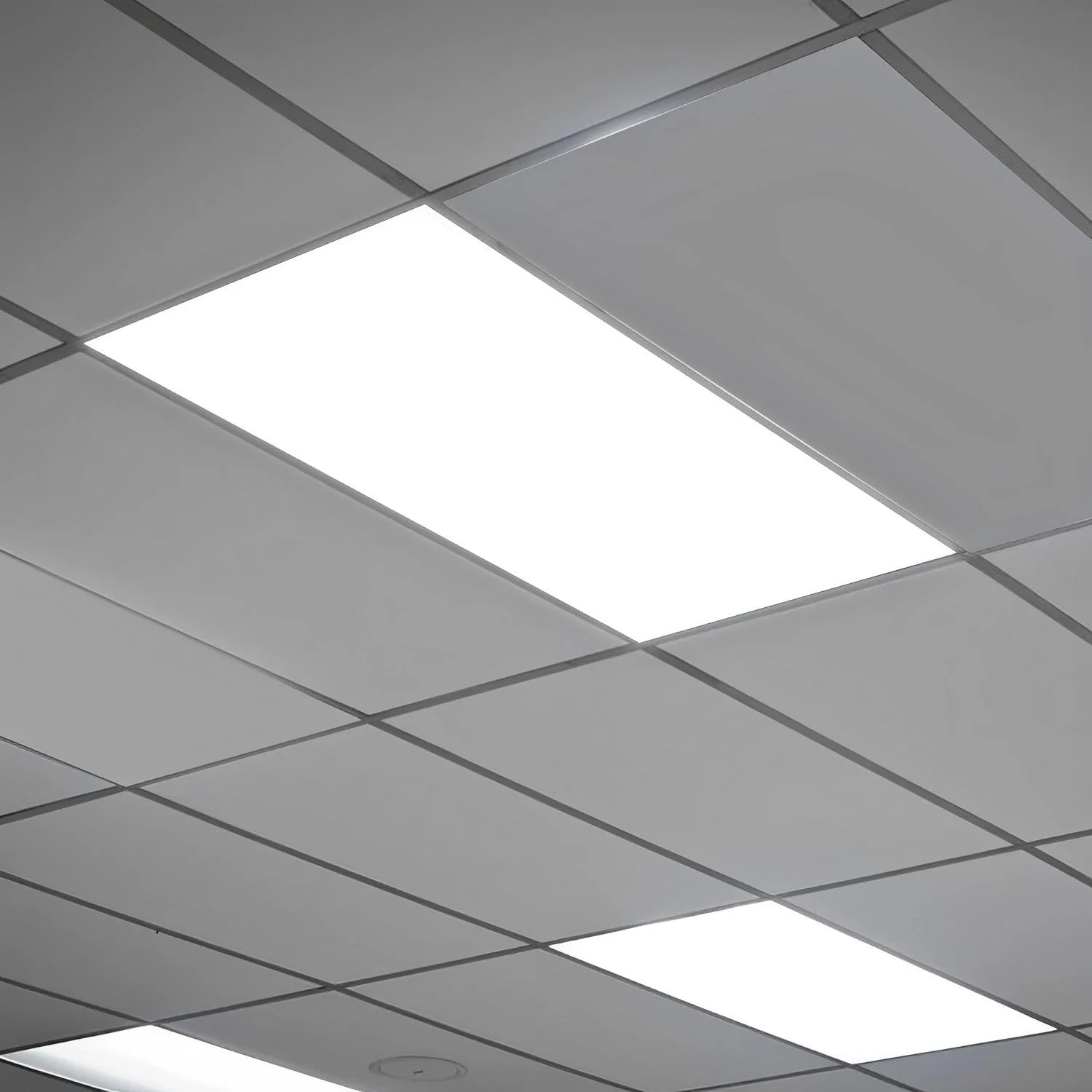 LED Panel Lights