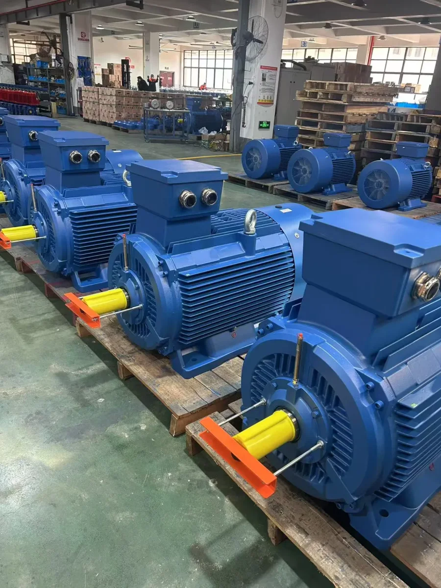 Heavy-Duty AC Electric Motors