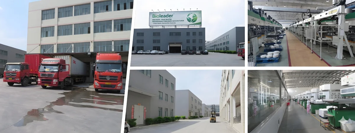 Export-Ready Commercial Tableware